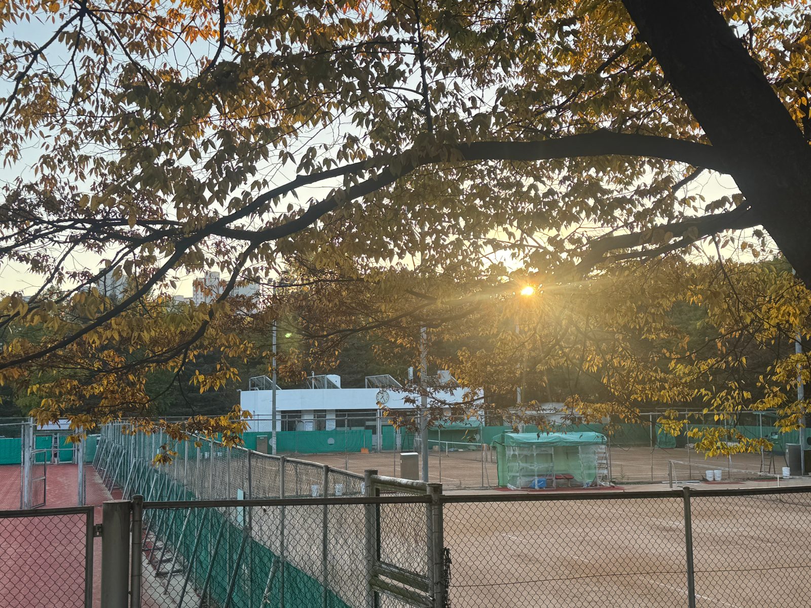 과천정부청사 테니스 센터