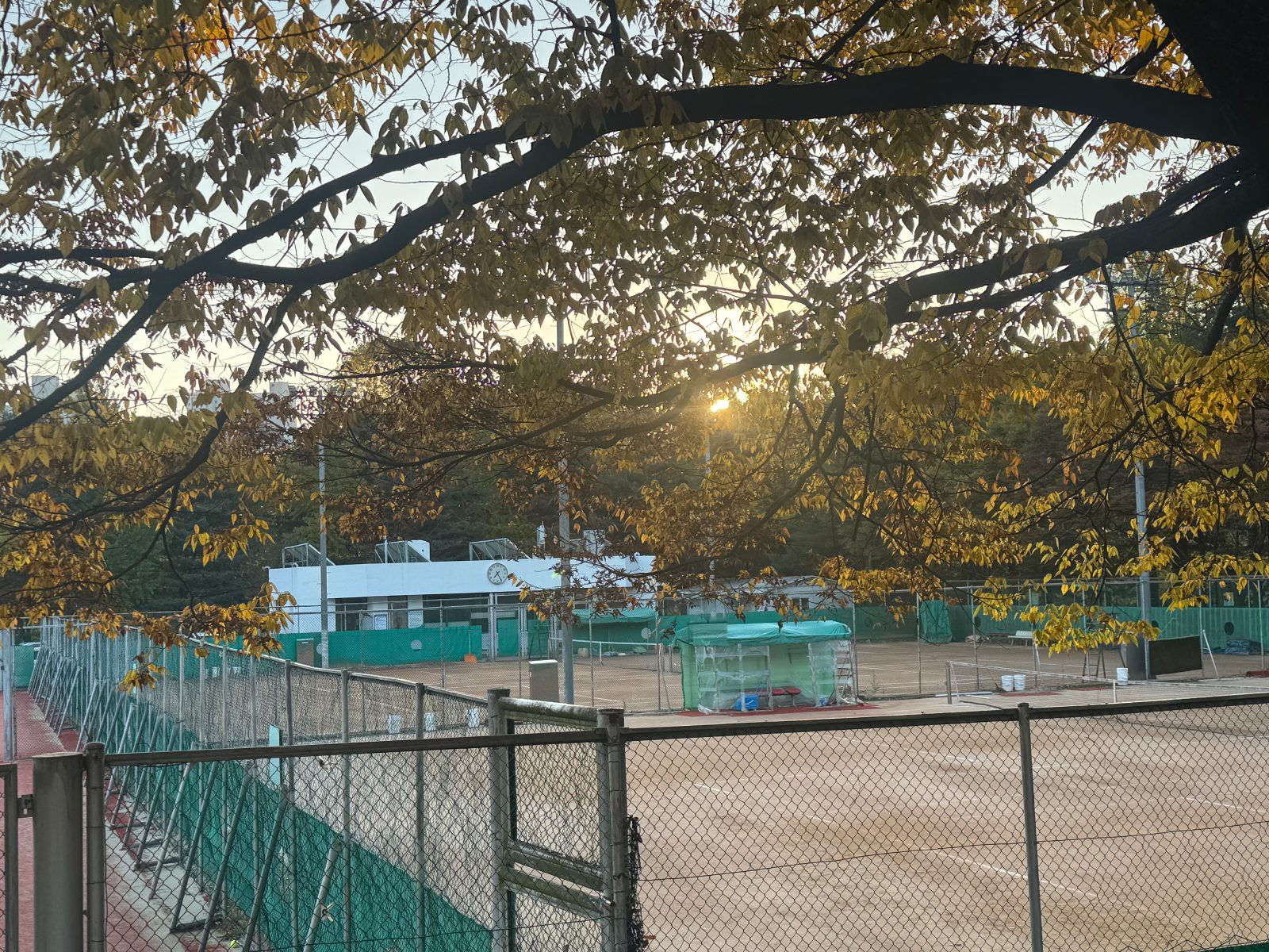 과천정부청사 테니스 센터
